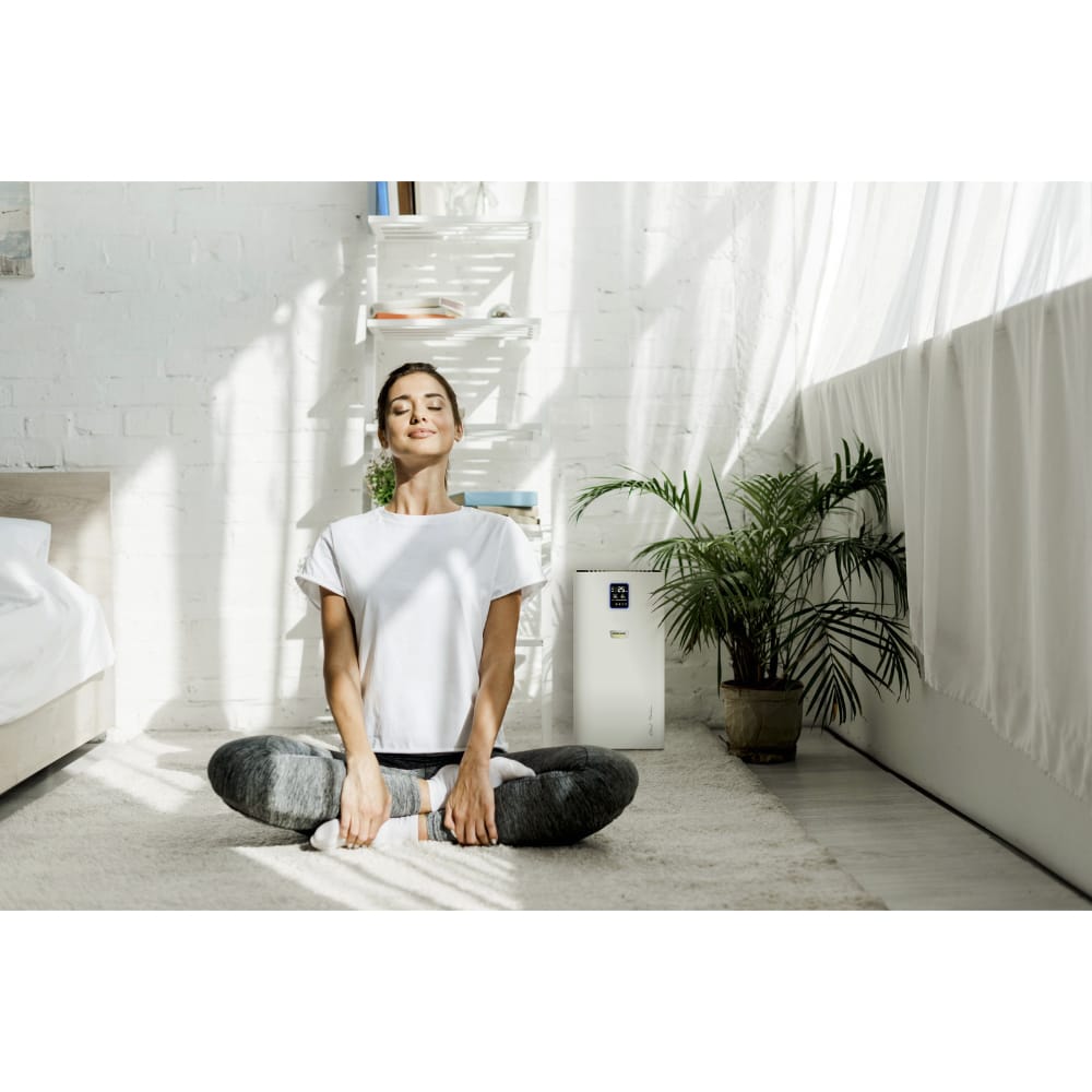 Karcher AF50 Air Purifier - Karcher