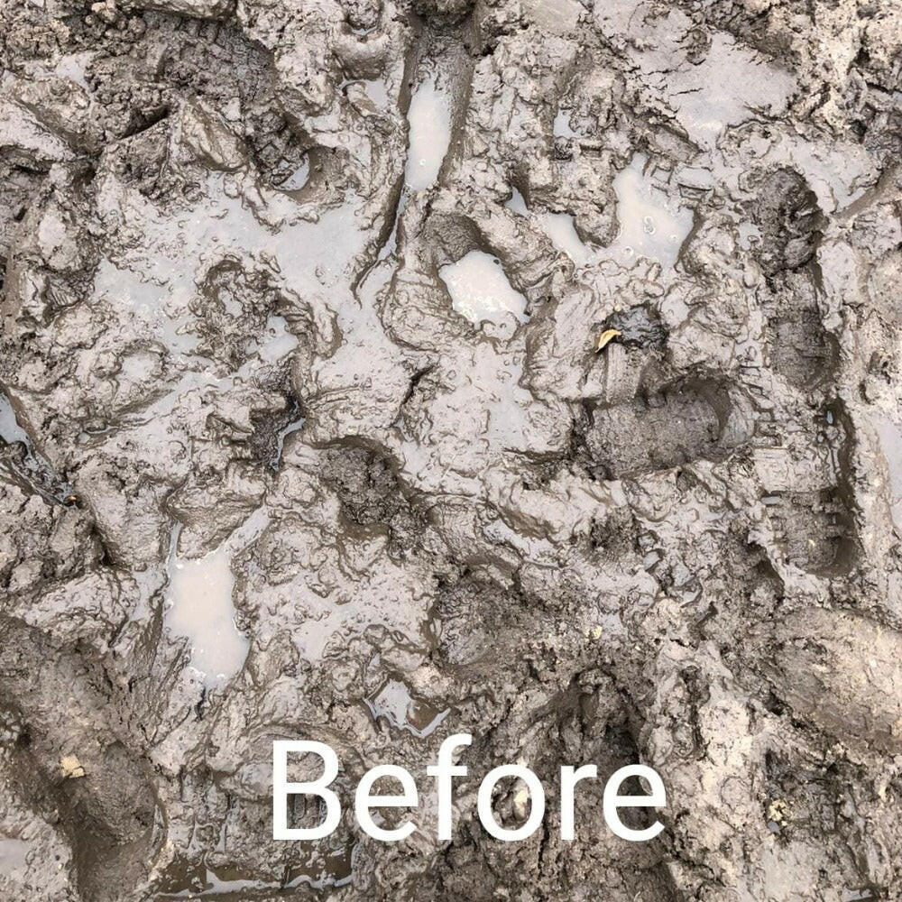 TurfSand - Dandy's Topsoil & Landscape Supplies Topsoil & Compost