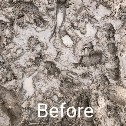 TurfSand - Dandy's Topsoil & Landscape Supplies Topsoil & Compost