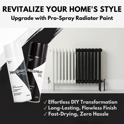 Pro-Spray Radiator Paint | 3-in-1 Heat Resistant Spray