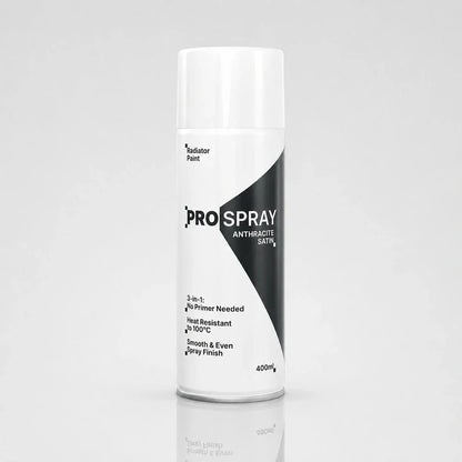 Pro-Spray Radiator Paint | 3-in-1 Heat Resistant Spray
