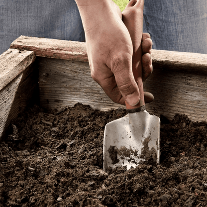 BedGrow® Raised Bed Welsh Topsoil Mix - Dandy's Topsoil & Landscape Supplies Topsoil & Compost