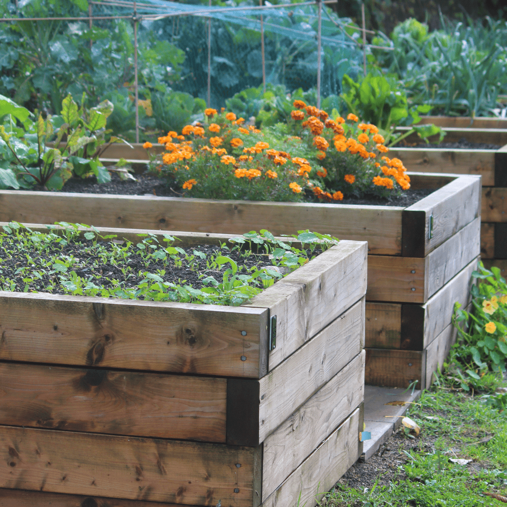 BedGrow® Raised Bed Welsh Topsoil Mix - Dandy's Topsoil & Landscape Supplies Topsoil & Compost