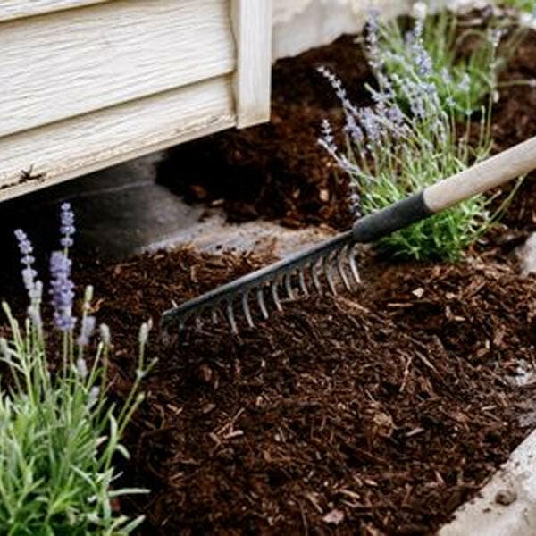 Winter Garden Bark Mulch - Dandy's Topsoil & Landscape Supplies Bark & Mulch