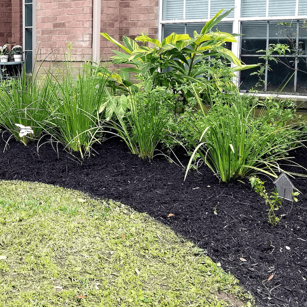Springmix Compost Garden Mulch - Dandy's Topsoil & Landscape Supplies Topsoil & Compost