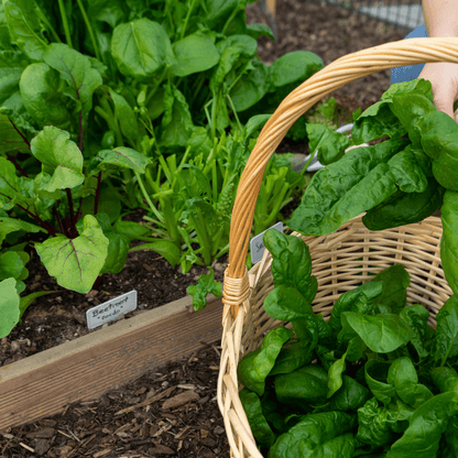 Wintermix Compost Garden Mulch - Dandy's Topsoil & Landscape Supplies Topsoil & Compost