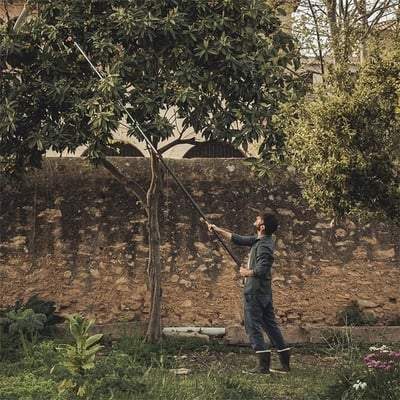 PowerGear X Telescopic Tree Pruner UPX86 - Fiskars