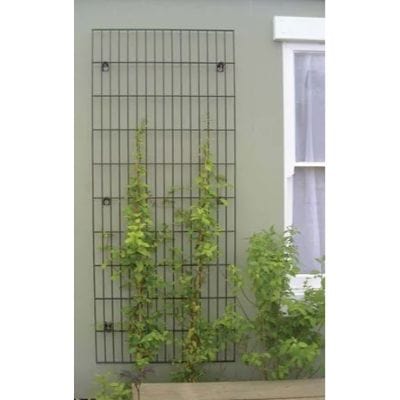 Galvanised/Powder Coated Metal Trellis 2m x 0.7m - Black Finish - Jacksons Fencing