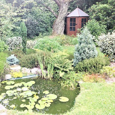 Gazebo 6ft x 6ft Summerhouse - Shire Summerhouse