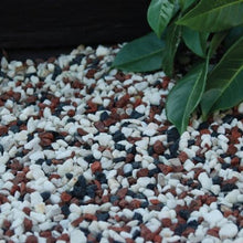 Load image into Gallery viewer, 8mm - 11mm - Multi-Mix Gravel Chippings - 850kg Bag - Build4less
