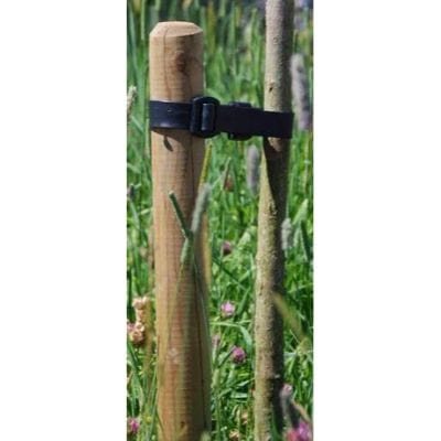 Machine Rounded Tree Stake - Jacksons Fencing