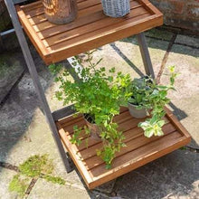 Load image into Gallery viewer, Rowlinson Alderley Plant Ladder - All Sizes - Rowlinson Outdoor and Garden
