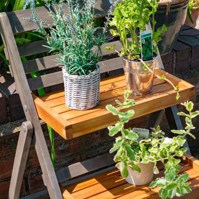Rowlinson Alderley Plant Ladder - All Sizes - Rowlinson Outdoor and Garden