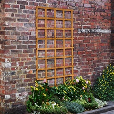 Forest Heavy Duty Trellis 183cm x 91cm - Forest Garden