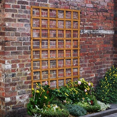 Forest Heavy Duty Trellis 183cm x 122cm