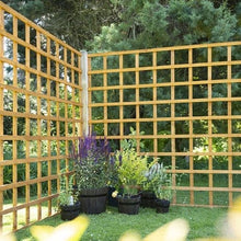 Load image into Gallery viewer, Forest Heavy Duty Trellis 183cm x 183cm
