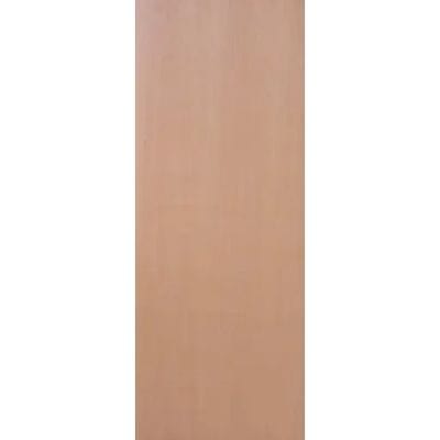 Paint Grade Plywood Un-Finished Veneered Exterior Door - All Sizes - JB Kind