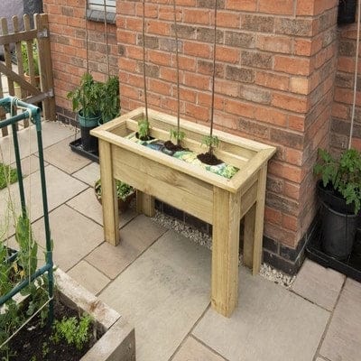 Forest Grow Bag Tray Container x 1m - Forest Garden