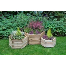 Load image into Gallery viewer, Forest York Hexagonal Planter (Pack of 3)
