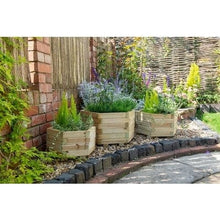 Load image into Gallery viewer, Forest York Hexagonal Planter (Pack of 3)
