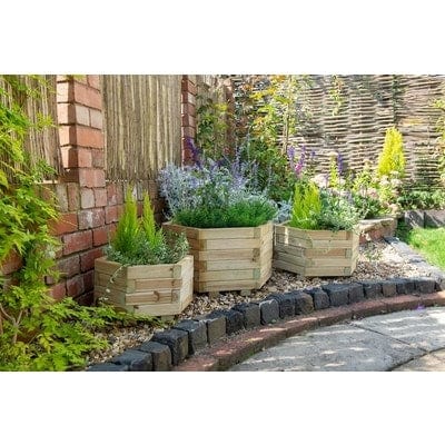 Forest York Hexagonal Planter (Pack of 3)