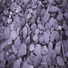 Plum Slate - All Sizes