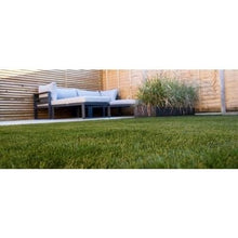 Load image into Gallery viewer, 43mm Utopia - All lengths - Namgrass
