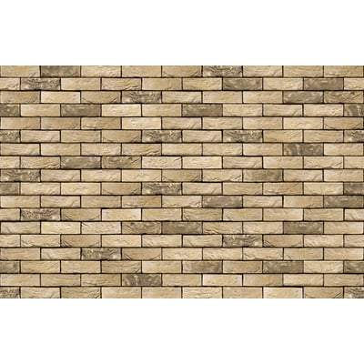 Corum Buff 65mm x 214mm x 101mm (Pack of 620)