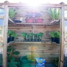 Load image into Gallery viewer, Forest Victorian Tall Wall Greenhouse with Auto Vent - Forest Garden

