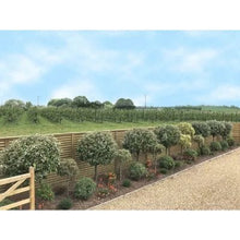 Load image into Gallery viewer, Frameless Venetian Hit and Miss Fence Panel - All Sizes - Jacksons Fencing

