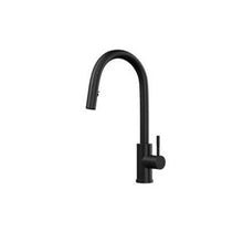 Load image into Gallery viewer, Kitchen Sink Mixer w/ Concealed Pull Out Hose and Spray Head - Ellsi
