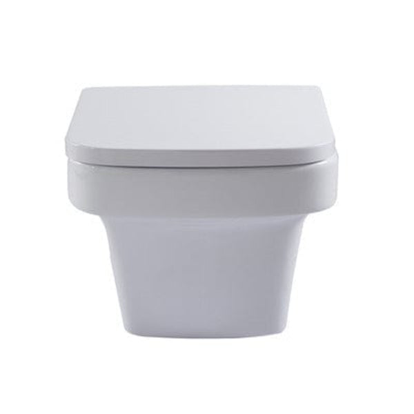 Medici Back to Wall Toilet with Soft Close Seat - Aqua