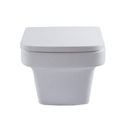 Medici Back to Wall Toilet with Soft Close Seat - Aqua