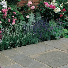 Load image into Gallery viewer, Heritage Raj Green Sandstone Paving Pack (19.5m2 - 66 Slabs/Mixed Pack) - Paveworld
