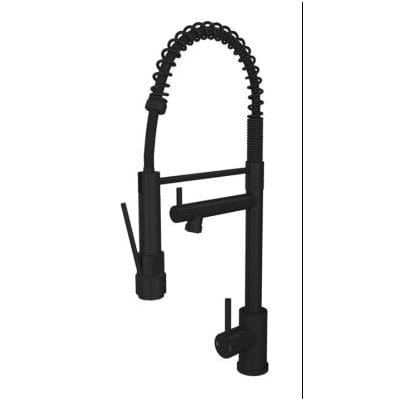 Kitchen Mixer w/ Swivel Spout and Directional Spray - Ellsi