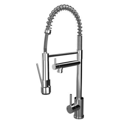 Kitchen Mixer w/ Swivel Spout and Directional Spray - Ellsi